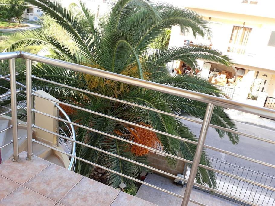 Cozy New Apartments Nea Chora خانيا المظهر الخارجي الصورة